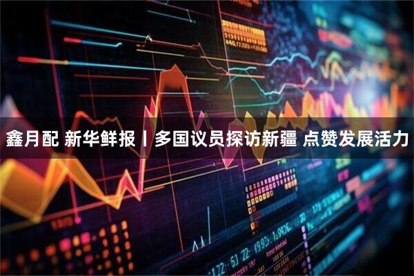 鑫月配 新华鲜报丨多国议员探访新疆&#32;点赞发展活力