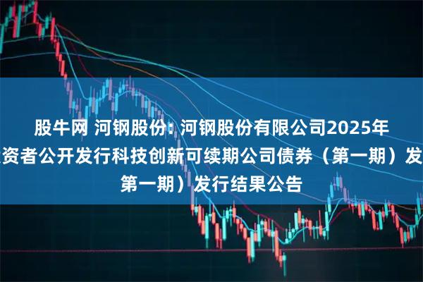 股牛网 河钢股份: 河钢股份有限公司2025年面向专业投资者公开发行科技创新可续期公司债券（第一期）发行结果公告