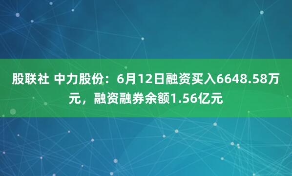 股联社 中力股份:6月12日融资买入6648.58万元,融资融券余额1.56亿元