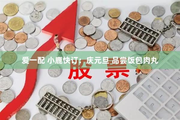 爱一配 小鹿快订：庆元旦 品尝饭包肉丸