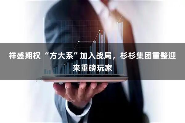 祥盛期权 “方大系”加入战局,杉杉集团重整迎来重磅玩家