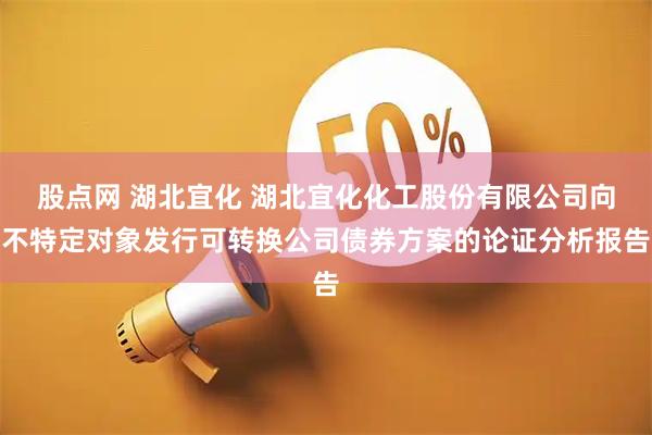 股点网 湖北宜化 湖北宜化化工股份有限公司向不特定对象发行可转换公司债券方案的论证分析报告